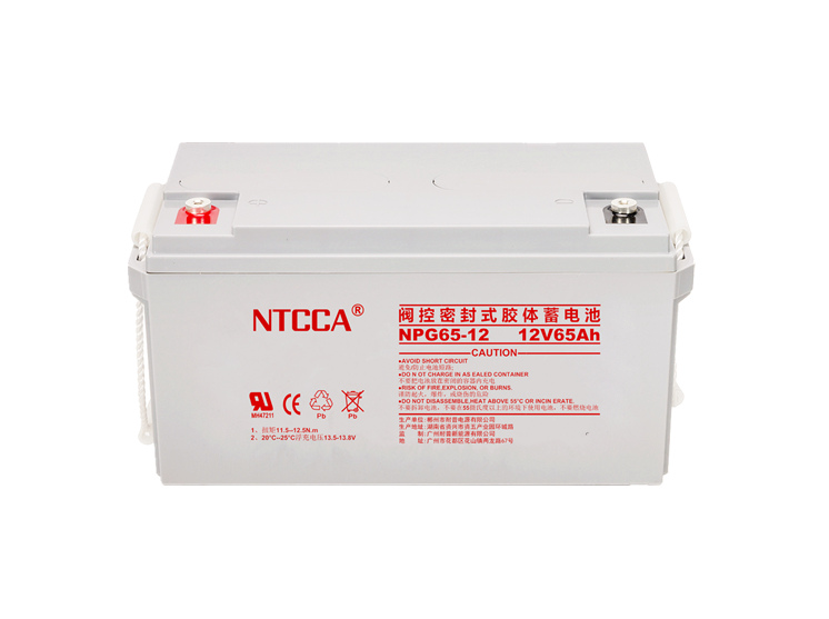 NTCCA恩科蓄電池NPG65-12